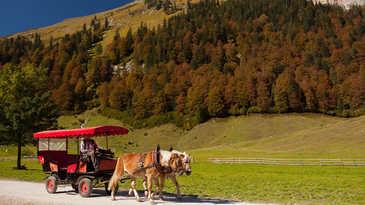 V Tyrolsku se převrátil kočár s německými turisty. Dvě děti jsou těžce zraněné